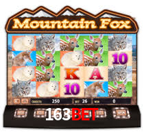 Daily Bonuses 163bet
